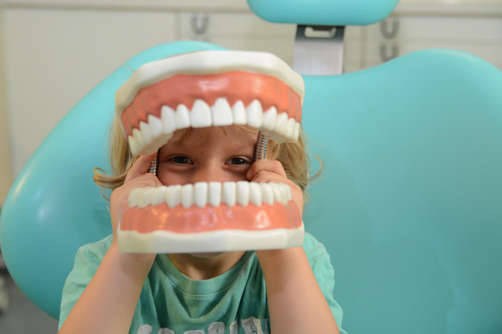 Un enfant heureux tient un dentier en plastique dans un cabinet dentaire à Dortmund